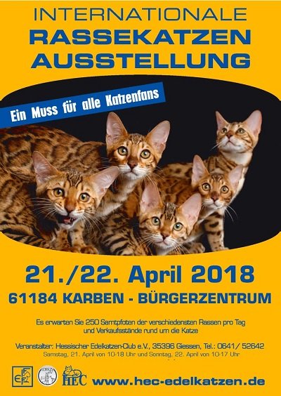 show 2018